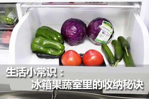 生活小常识：冰箱果蔬室里的收纳秘诀 