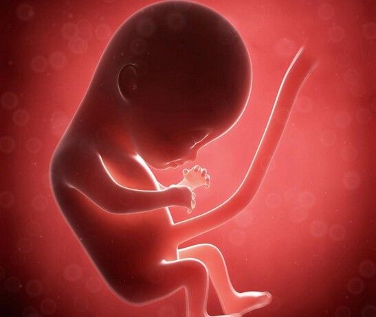 胎儿在未出生时 就可分辨食物的味道-万维家电网