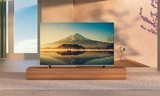 音质更好的OLED搅动高端彩电市场，新东芝电视强势卡位索尼