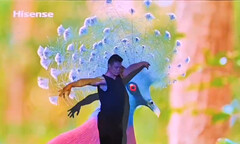 德国IFA展百年佳话！海信4K激光投影与艺术家共舞